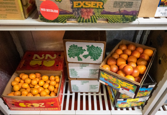 A refrigerator shelf filled with boxes of oranges, grapefruits and vegetables.