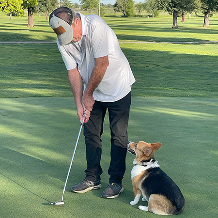 Man with grey hair putts a golf ball while a brown and black corgi dog watches.